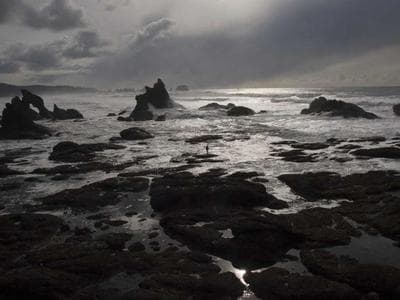 Herman Miller Aeron vs Steelcase Leap V2 side by side comparison 2026