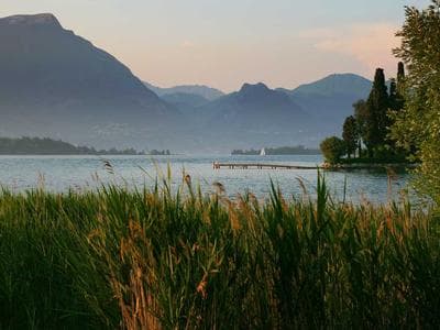 A collection of trending Amazon products with deal tags