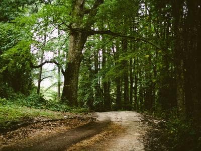 Ergonomic office and home chairs lineup for 2026