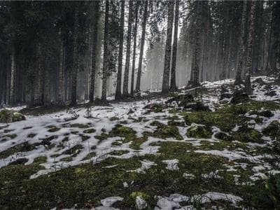 Laser printers with USB direct printing