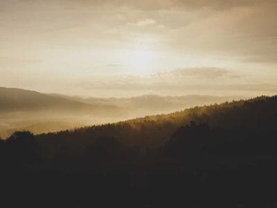 A collection of premium stainless steel cookware on a professional stove