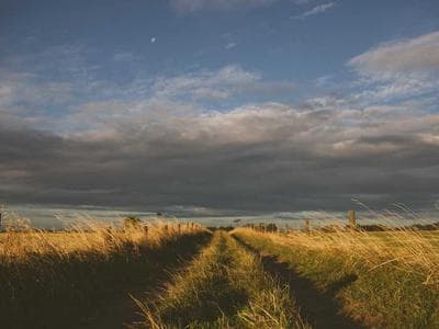 Ergonomic chair buying guide 2026 biomechanics and fit illustration