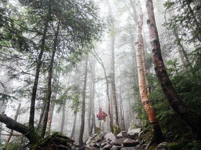 Best ergonomic office and home use chairs for 2026 lined up in a modern workspace