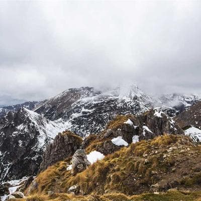 EZ-DUZ-IT Deluxe Can Opener