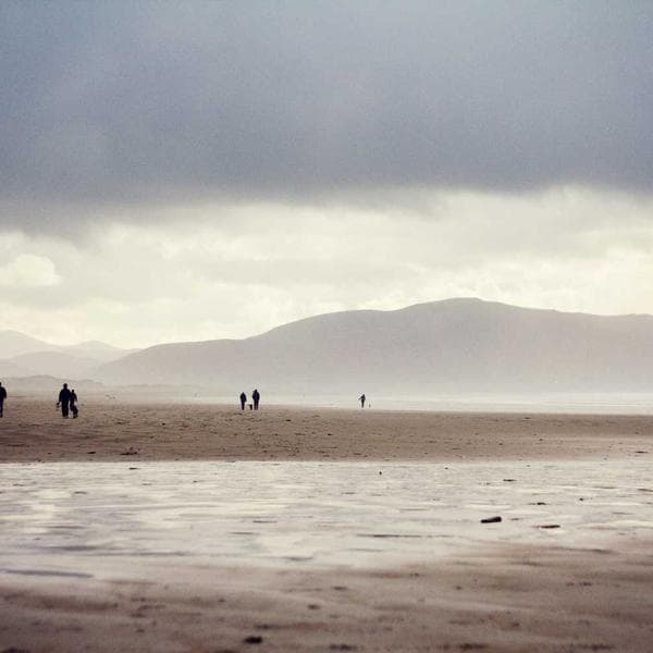 Flexispot OC3 ergonomic mesh office chair in gray with adjustable headrest