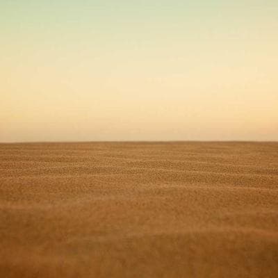 GIR Premium Silicone Spatula