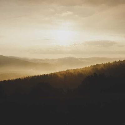 Le Creuset 5.5-Quart Enameled Dutch Oven