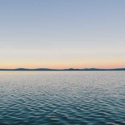 Mac Mighty Kitchen Shears