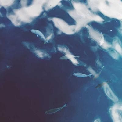 Nordic Ware Natural Aluminum Half Sheet