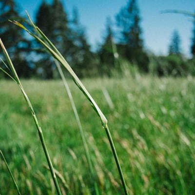 Pyrex Glass Prepware Mixing Bowls