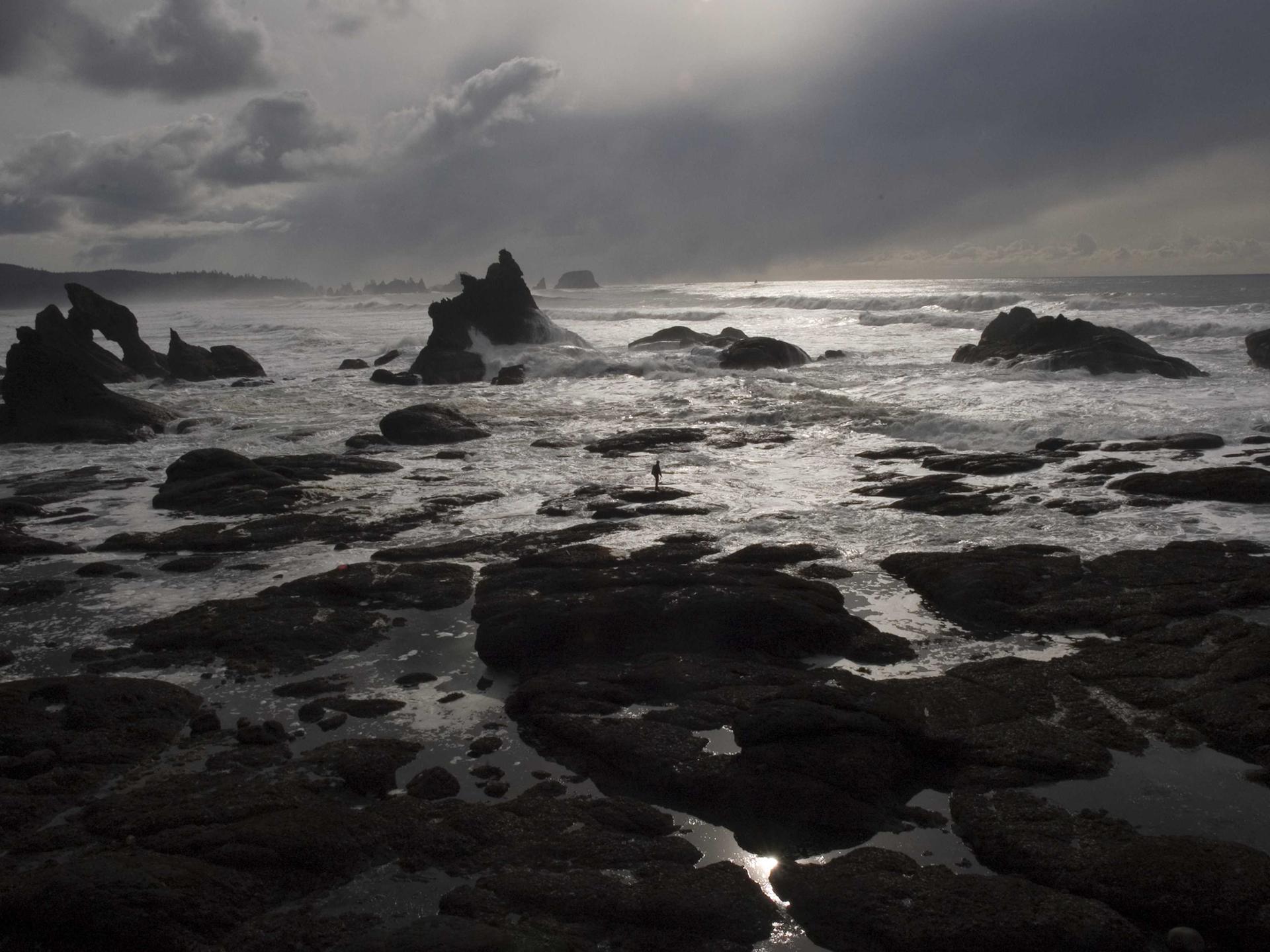 Herman Miller Aeron vs Steelcase Leap V2 side by side comparison 2026