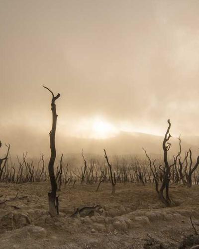 Alen BreatheSmart 75i