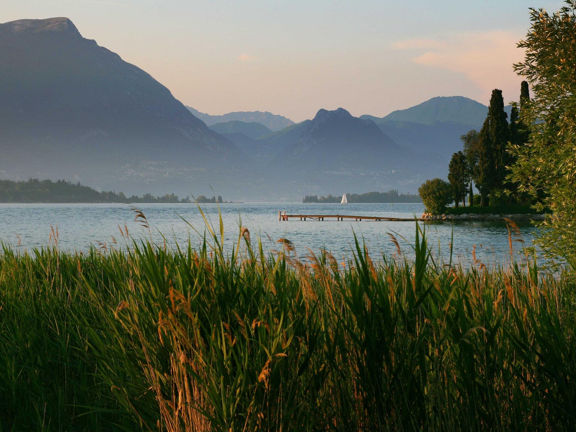 A collection of trending Amazon products with deal tags