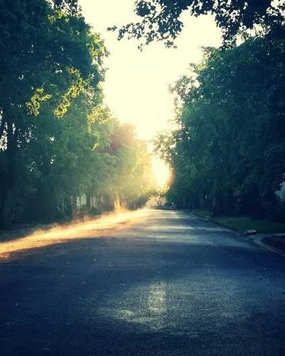 Ergonomic chair for back pain users