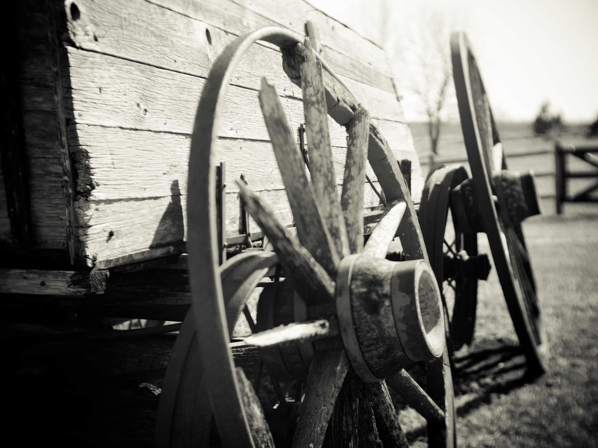 Four best dash cams of 2026: Viofo A329S, BlackVue Elite 9, Vantrue E1 Pro, Vantrue N5S