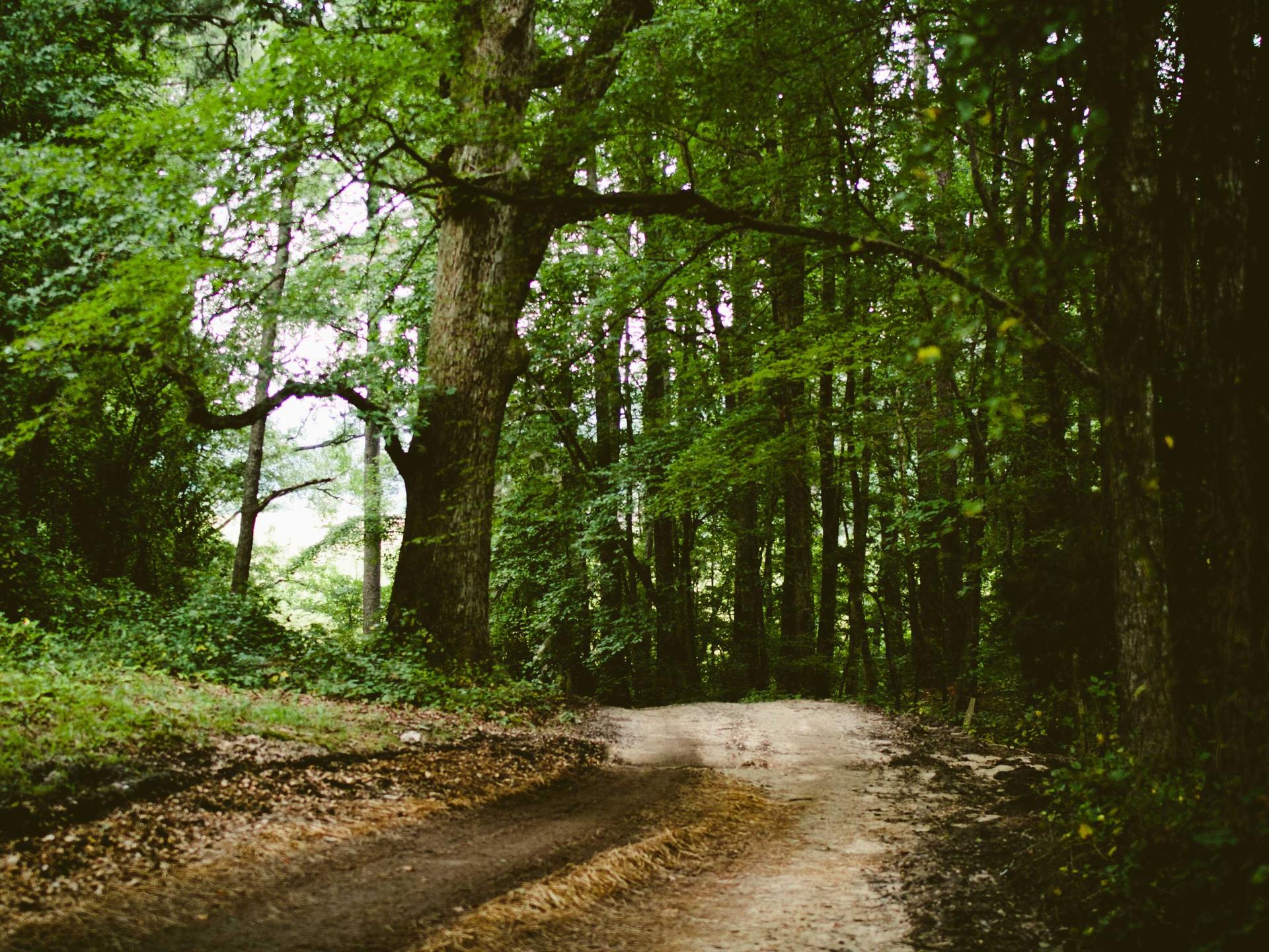 Ergonomic office and home chairs lineup for 2026