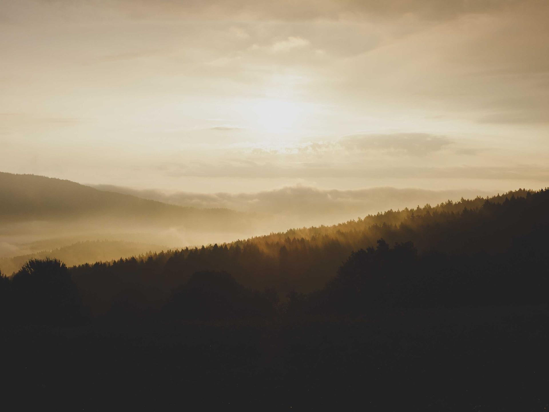 A collection of premium stainless steel cookware on a professional stove