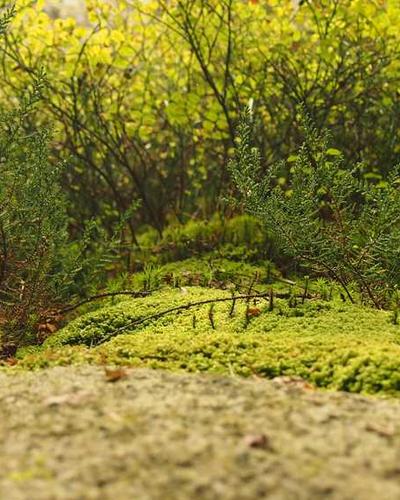 Brother MFC-L8610CDW