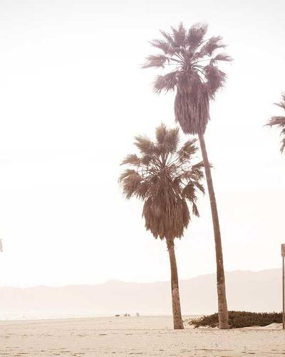 Coway AP-1512HH Mighty