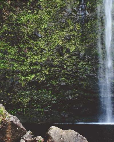 Demeyere Industry Skillet