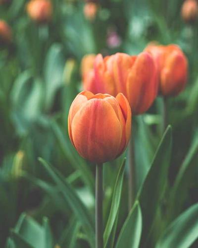 Epson EcoTank ET-2850 printer