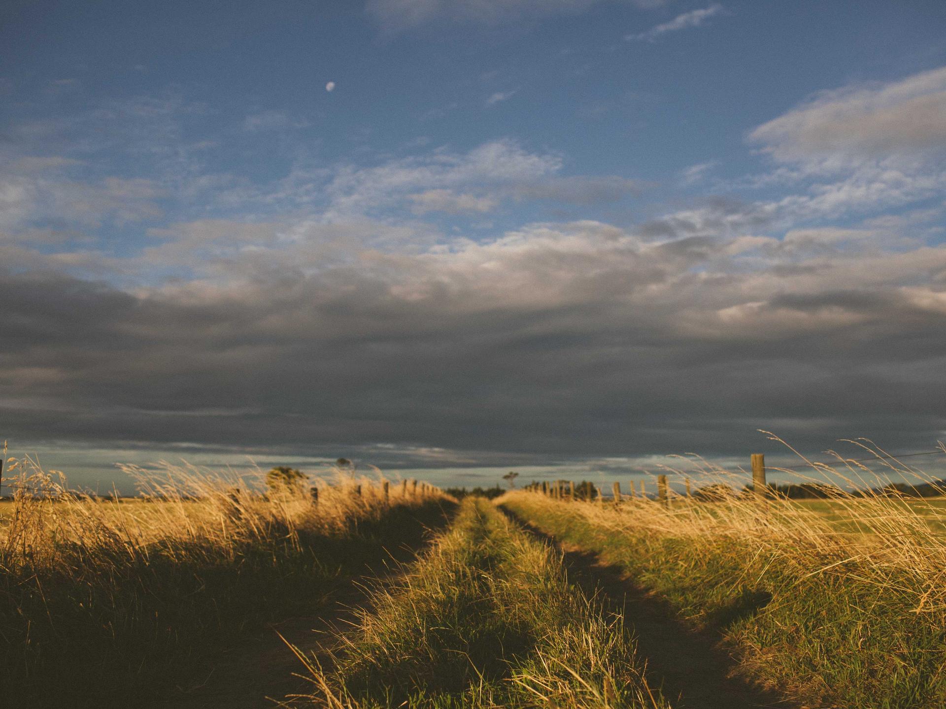 Ergonomic chair buying guide 2026 biomechanics and fit illustration