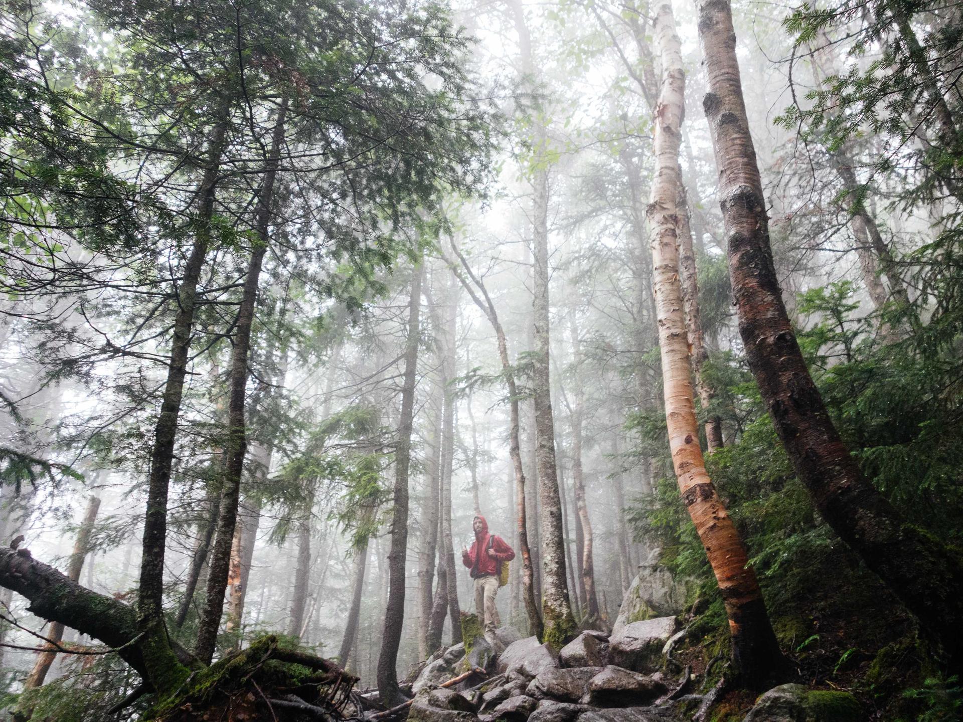 Best ergonomic office and home use chairs for 2026 lined up in a modern workspace