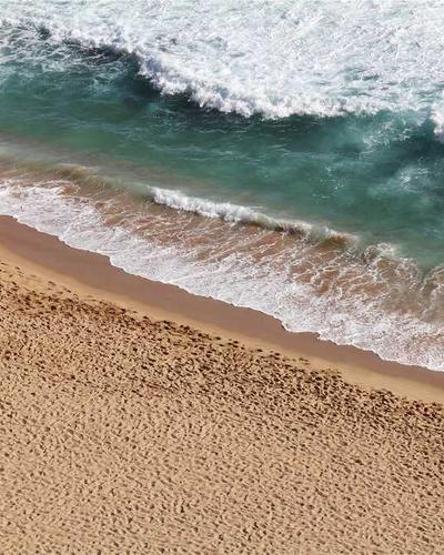 Fissler Original Profi Stockpot