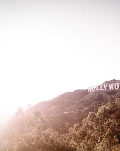 FlexiSpot ErgoX ergonomic chair