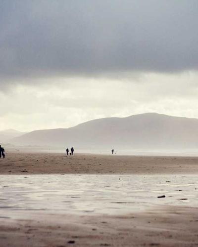 Flexispot OC3 ergonomic mesh office chair in gray with adjustable headrest