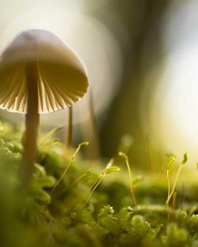 HP LaserJet Pro 4001dn