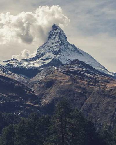 Lodge Chainmail Scrubbing Pad for Cast Iron