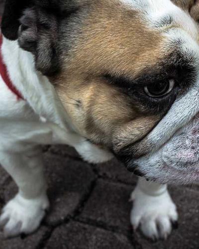 Steelcase Gesture ergonomic chair side profile