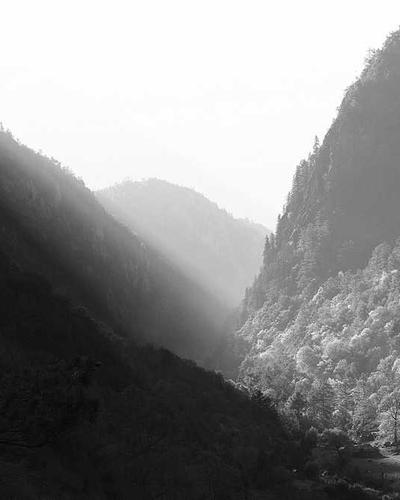 Vari Electric Standing Desk